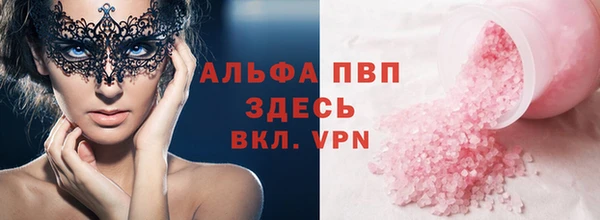Альфа ПВП Новозыбков