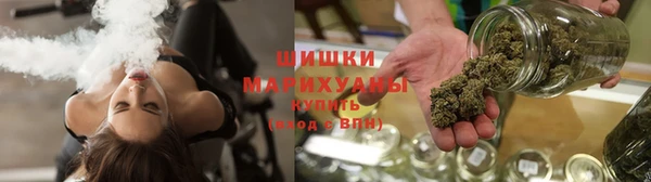 Альфа ПВП Новозыбков