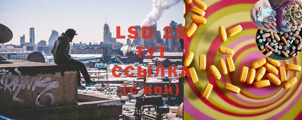 Альфа ПВП Новозыбков